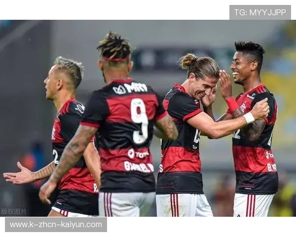 弗拉门戈反击选择理性